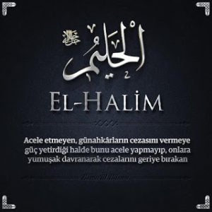 El-Halim_8874-300x300.jpg