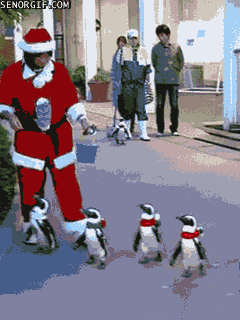 funny-gifs-christmas-penguin-parade.gif