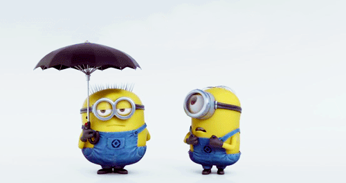 Minion-Helps-a-Minion-Without-An-Umbrella-In-Despicable-Me-2.gif