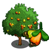 tree_cashew_icon.png