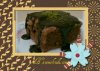 browni111.jpg