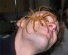spider_05.jpg