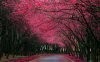 FreeGreatPicture.com-30635-landscape-scenery.jpg