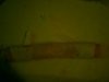 IMG0489A.jpg