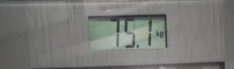 IMG_20221223_112526.jpg