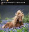 286F5164-672C-4C50-B0A3-264DB70FC2A6.jpeg