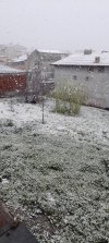 20230329_114016.jpg