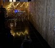 IMG_9982.jpeg