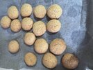 IMG_0584.jpeg