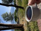 IMG_1545.jpeg