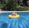 IMG_1820.jpeg