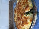 IMG_2511.jpeg
