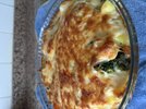IMG_2512.jpeg