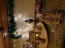 IMG_4336.jpeg