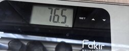 IMG_6498.jpeg