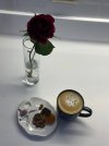 IMG_3908.jpeg