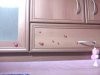 IMG0025A.jpg