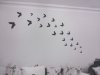 IMG0028A.jpg