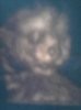 Fotoğraf0172 (384 x 512).jpg