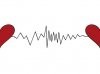 Test_3498.jpg