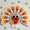 crochet-pattern-turkey-coaster-23.jpg