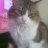 zeynep_ist22
