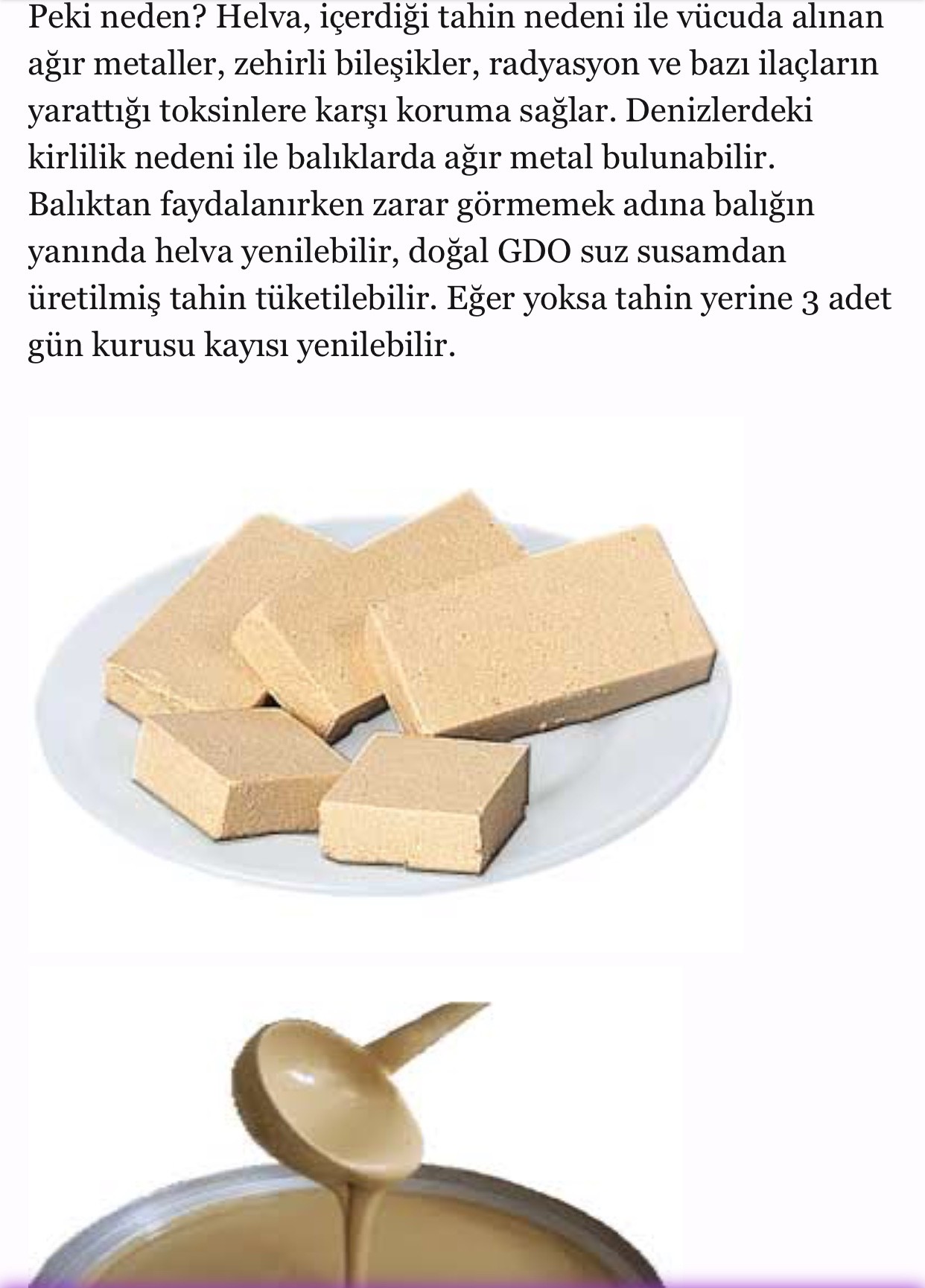 10BEA1EC-7CE5-4ECB-A983-2BFABAE84BA8.jpeg