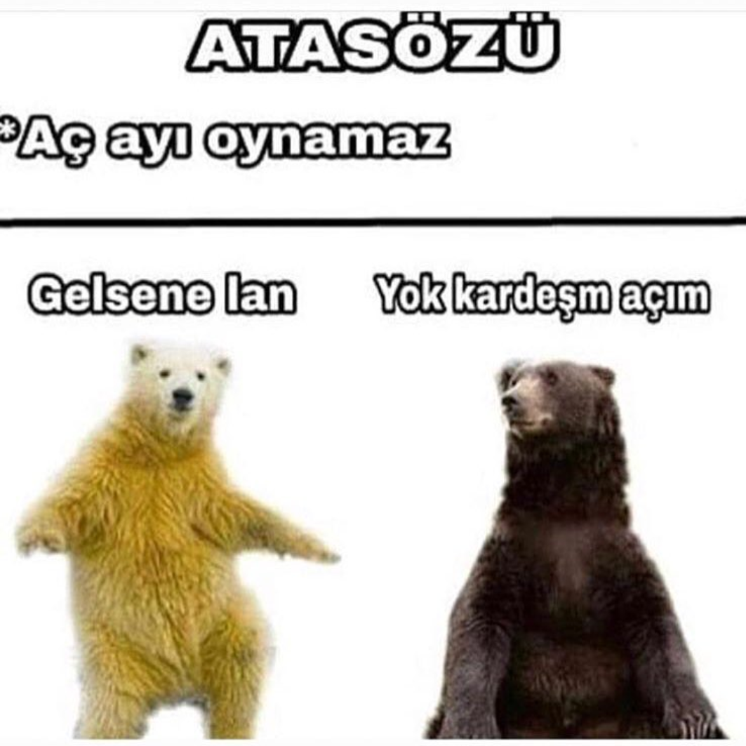 20180928_224421.png