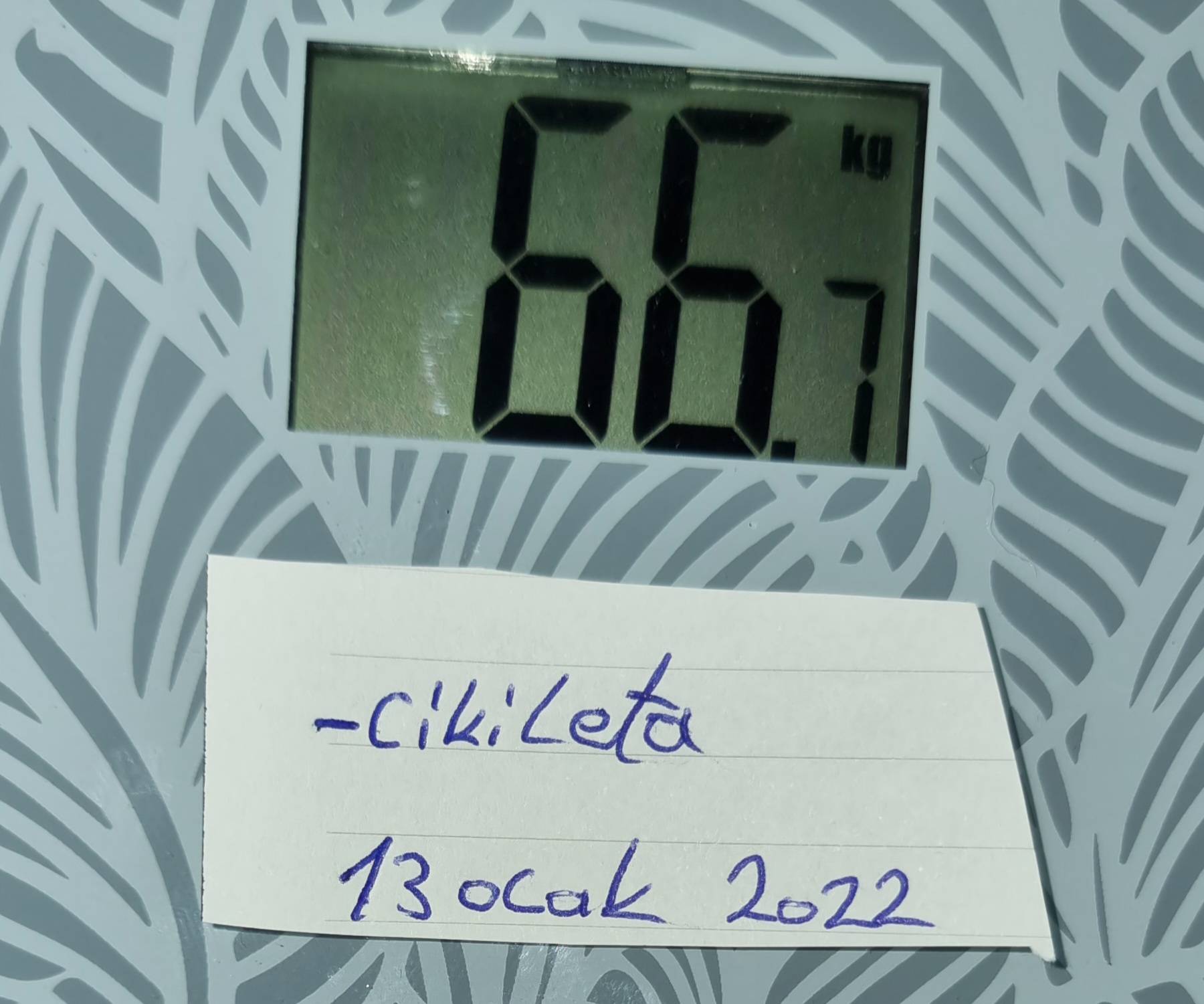 20230113_080802.jpg