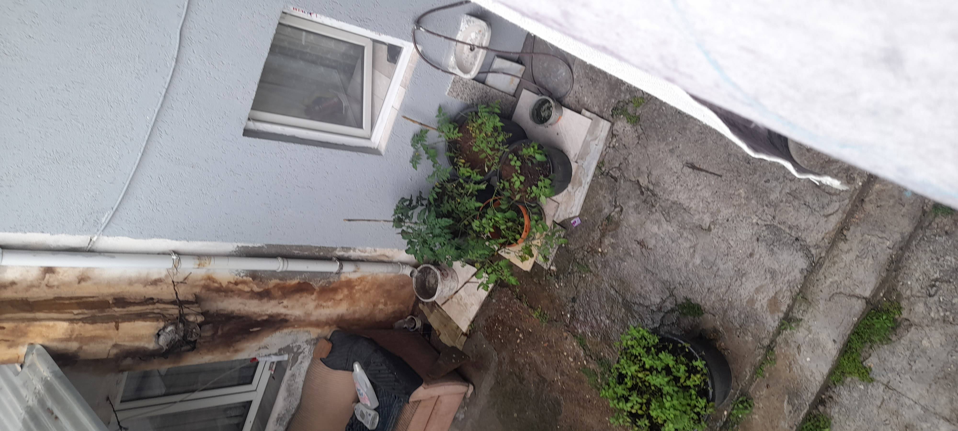 20230618_140038.jpg