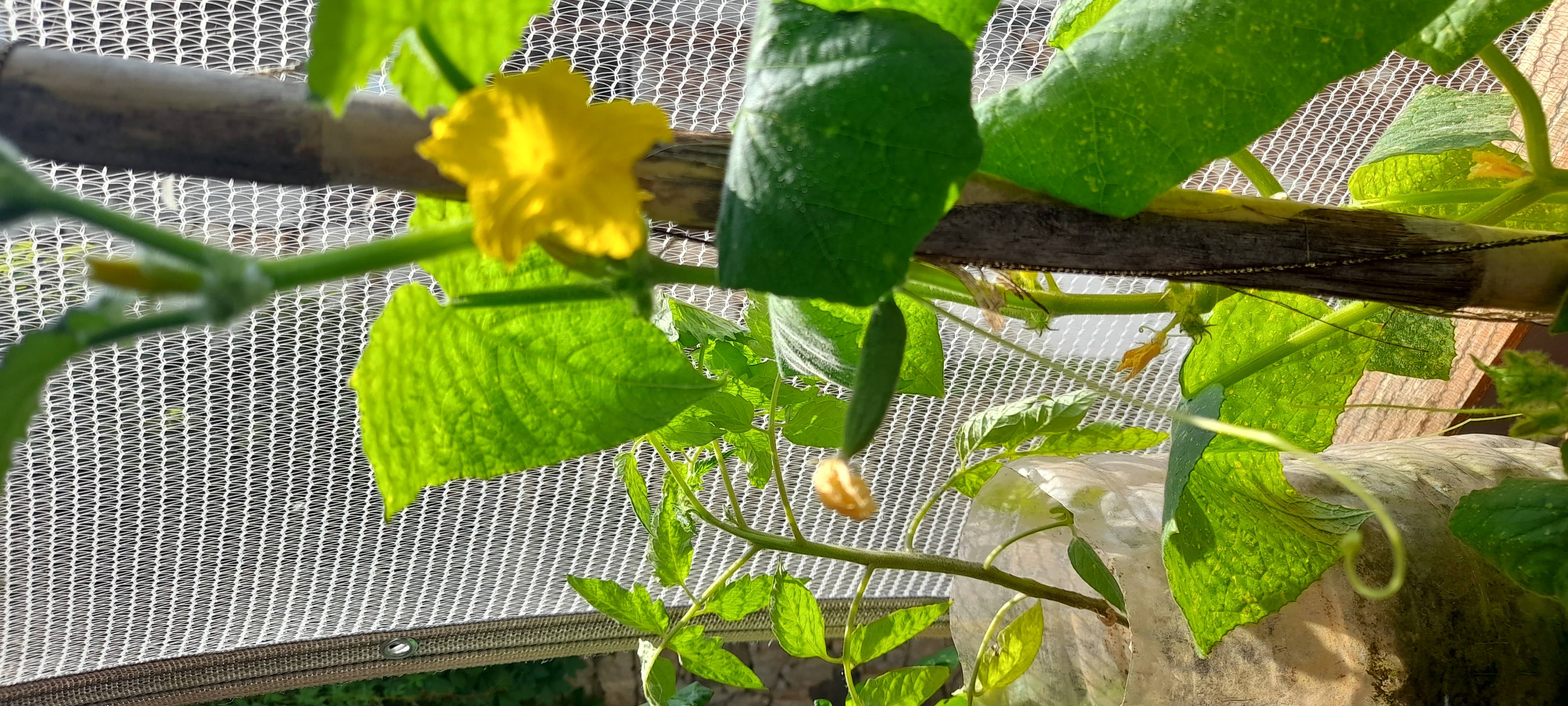 20230713_103207.jpg