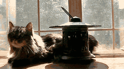 238320120309114441458.gif
