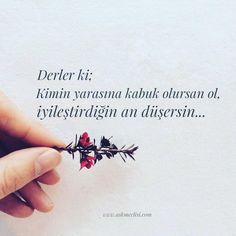 6e3d4adda1eb87e9b05acf182f7b0d71.jpg