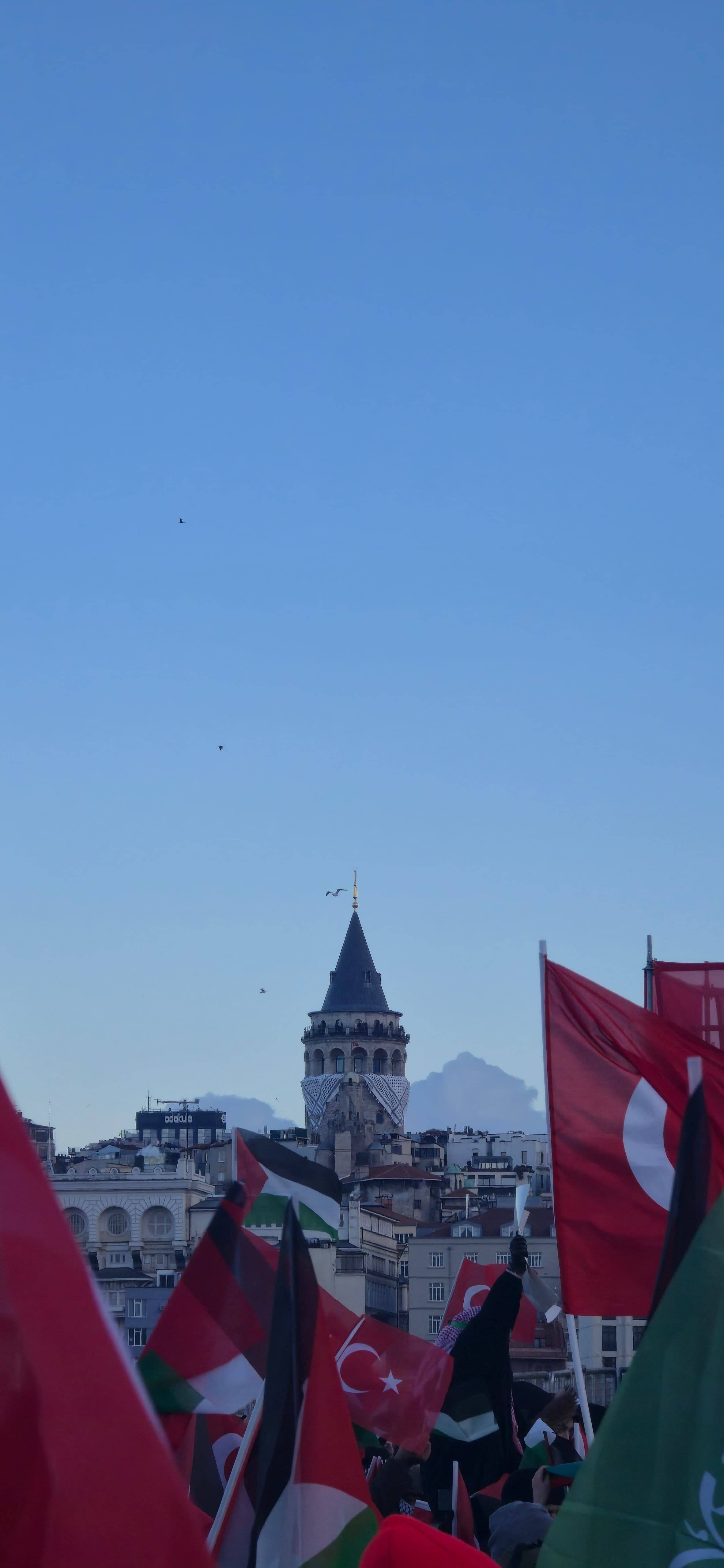 77c8fa14-89b6-4a61-8d2a-b4811488f1f6.jpeg