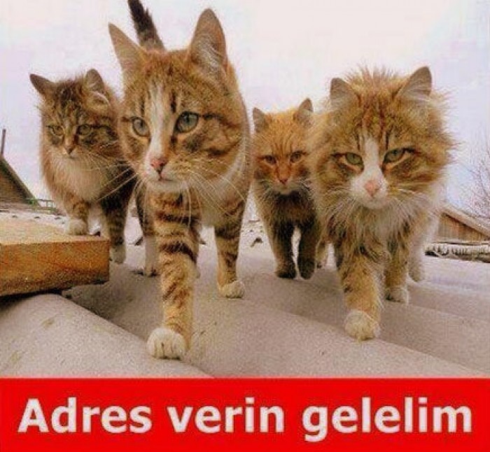 adres ver gelelim.jpg