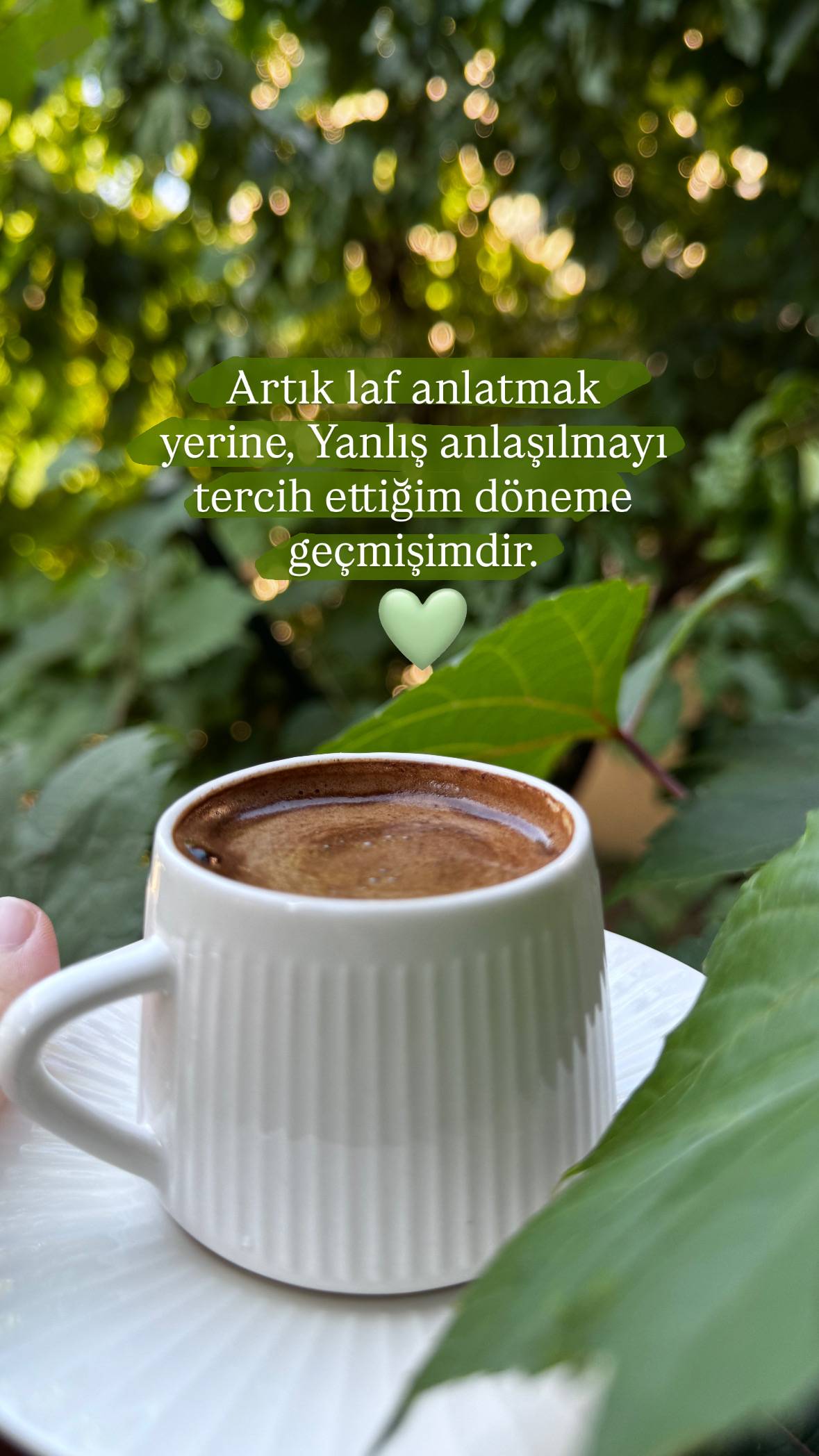 BA80CDE4-AE51-4530-B15B-35F5158D7D4D.jpeg