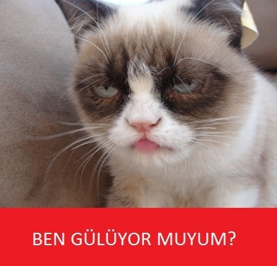 ben-guluyor-muyum_362338_m.jpg