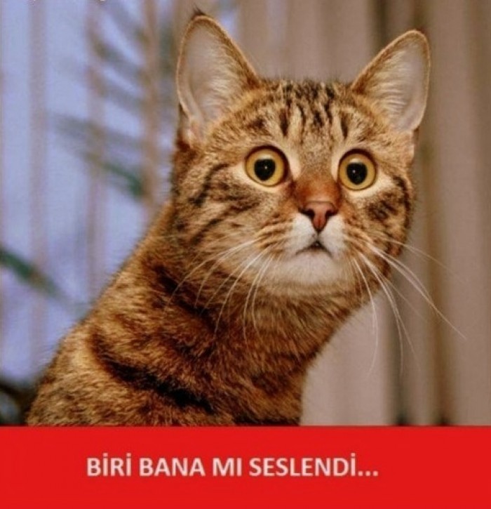biri bana mı seslnedi.jpg