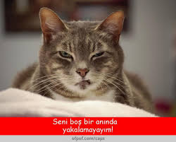 BOŞ BİR ANINDA YAKALAMAYAYIM.jpg