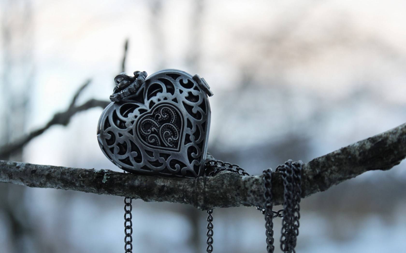 branch-pendant-necklace-heart-shape-jewelry-hd-wallpaper.jpg