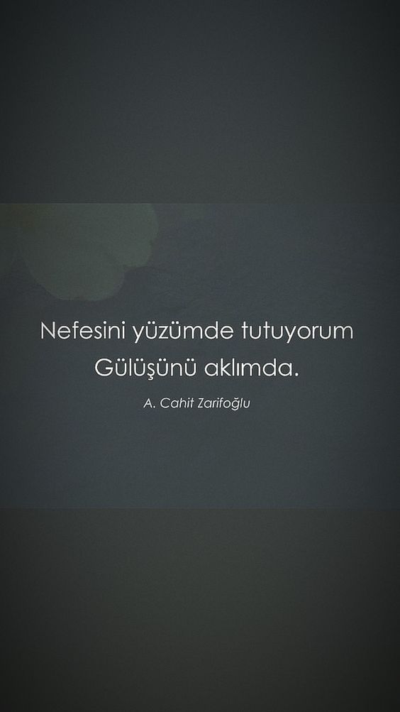 c18a28ccfd11e47595e13bda9777ee6b.jpg