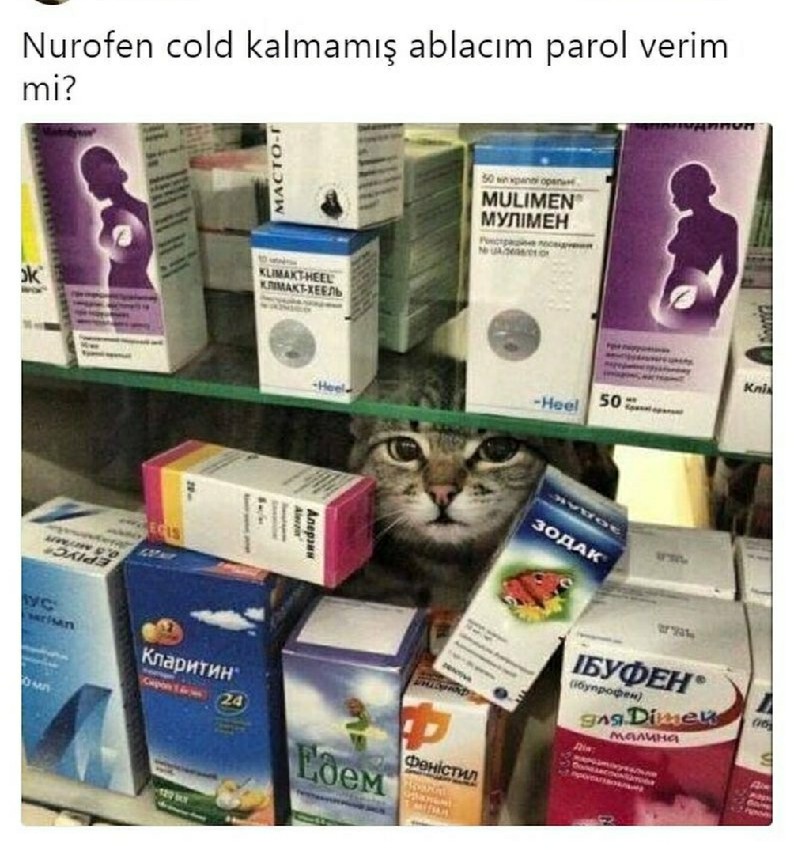 cezmikalorifer-1531159972549~2.jpg