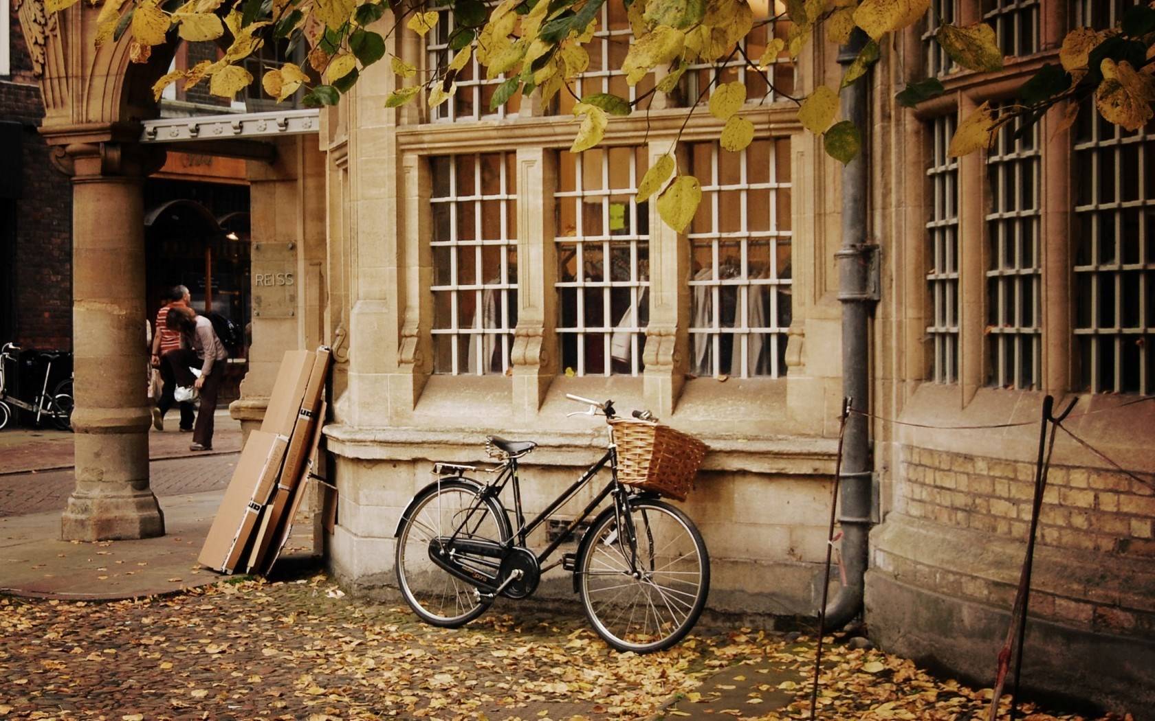 city-bicycle-basket-autumn-leaves-hd-wallpaper.jpg