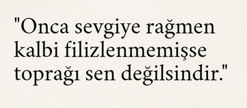 Ekran görüntüsü 2025-05-03 153220.png