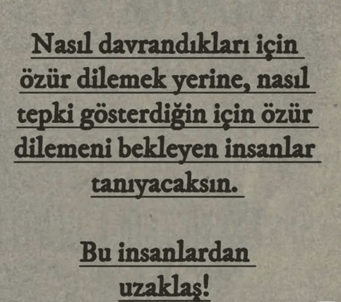 Ekran görüntüsü 2025-11-06 155844.png