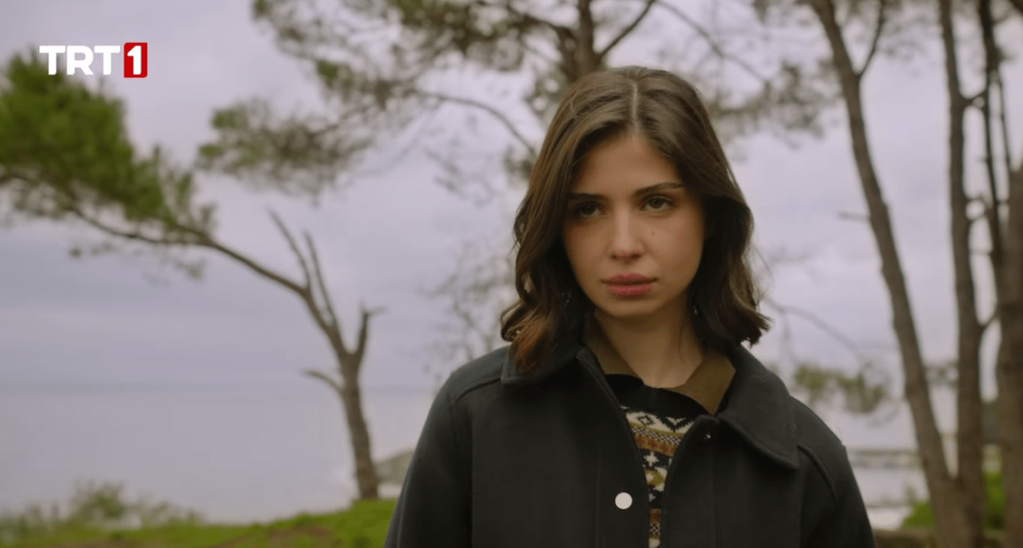 Ekran görüntüsü 2025-11-30 174935.png