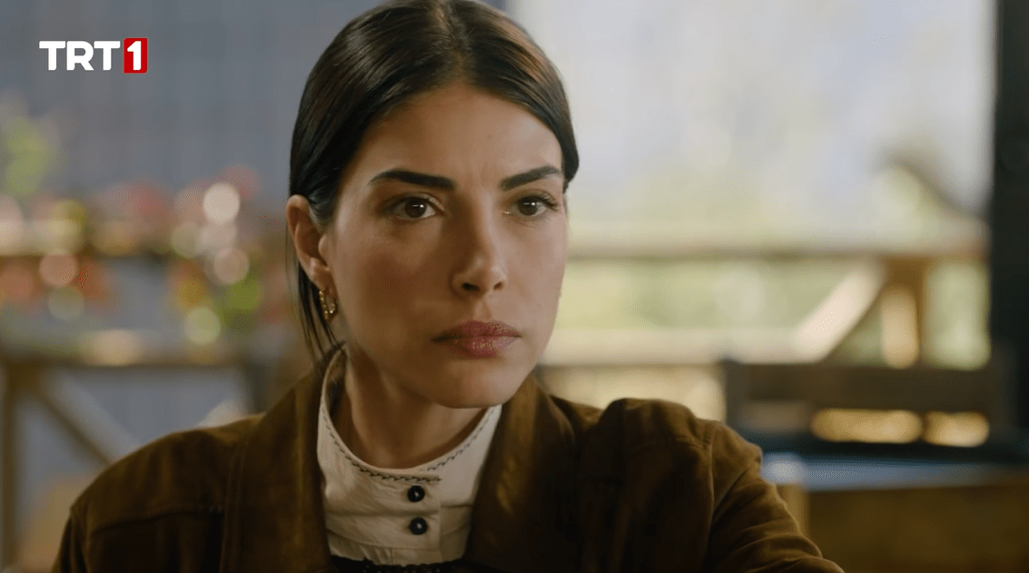 Ekran görüntüsü 2025-11-30 175316.png