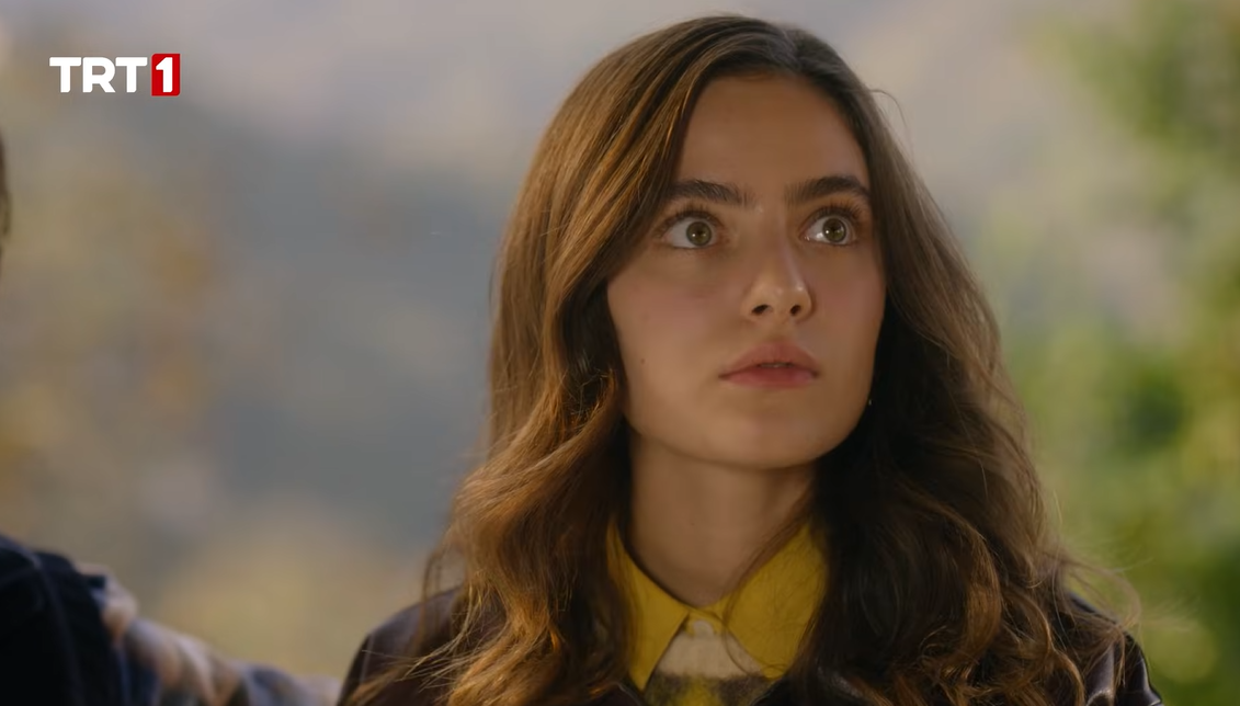 Ekran görüntüsü 2025-11-30 180407.png