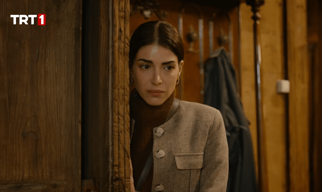 Ekran görüntüsü 2025-11-30 182851.png