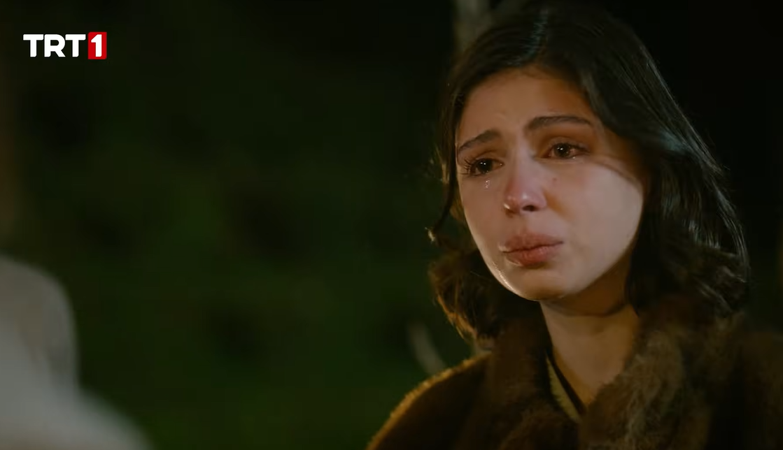 Ekran görüntüsü 2025-11-30 183025.png